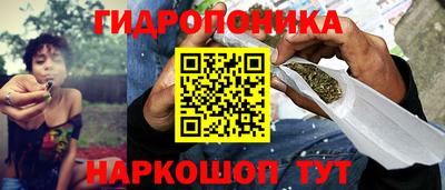 скорость Гусь-Хрустальный