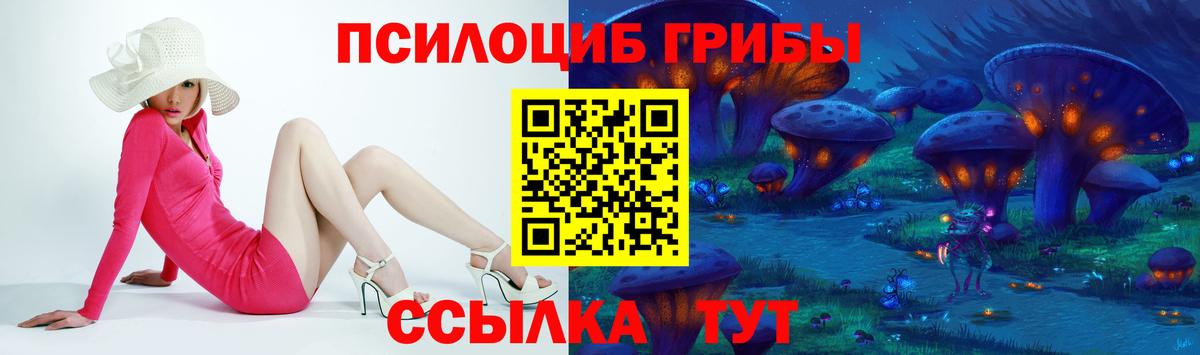 Галлюциногенные грибы Cubensis Кулебаки